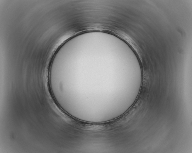 X0000114511187200911091123