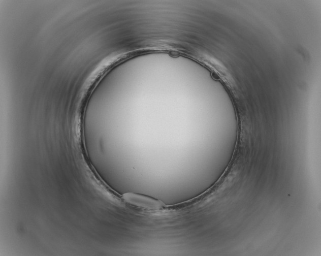 X0000114511188200911091123