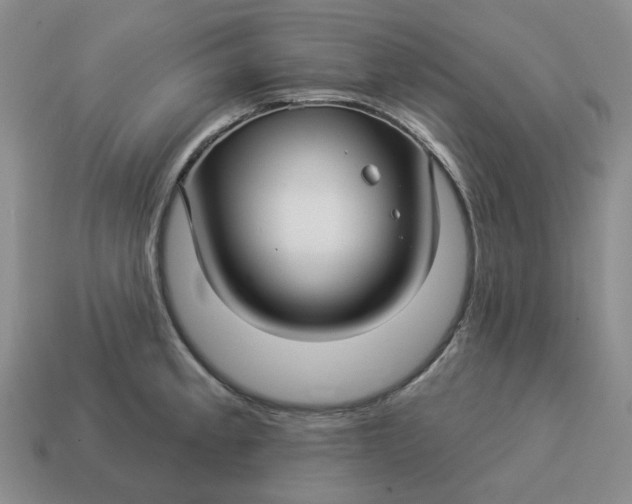 X0000114511189200911091123