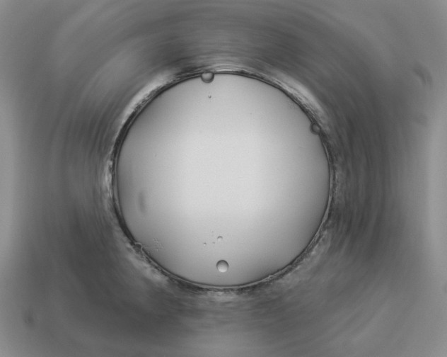 X0000114511190200911091123