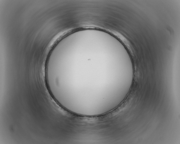 X0000114511191200911091123