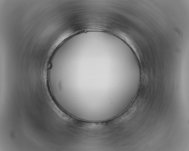 X0000114511195200911091123