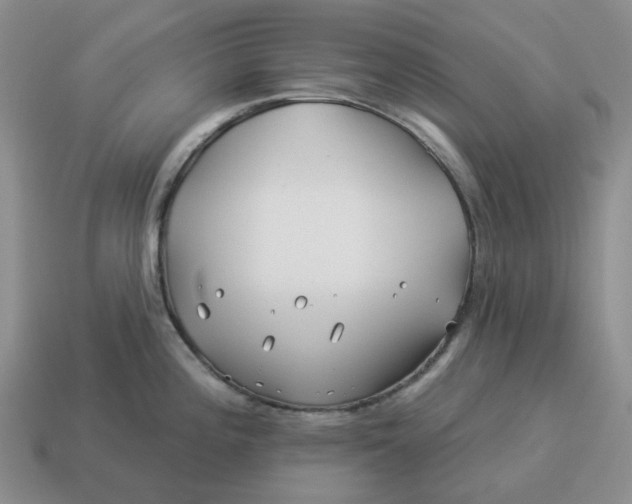 X0000114511196200911091123