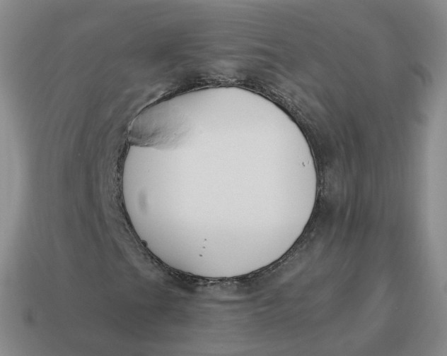 X0000114511201200911091123