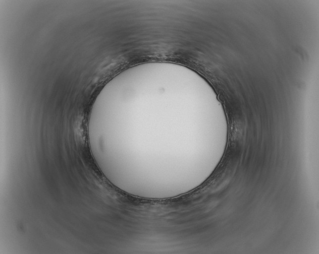 X0000114511202200911091123