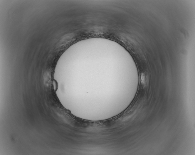 X0000114511203200911091123