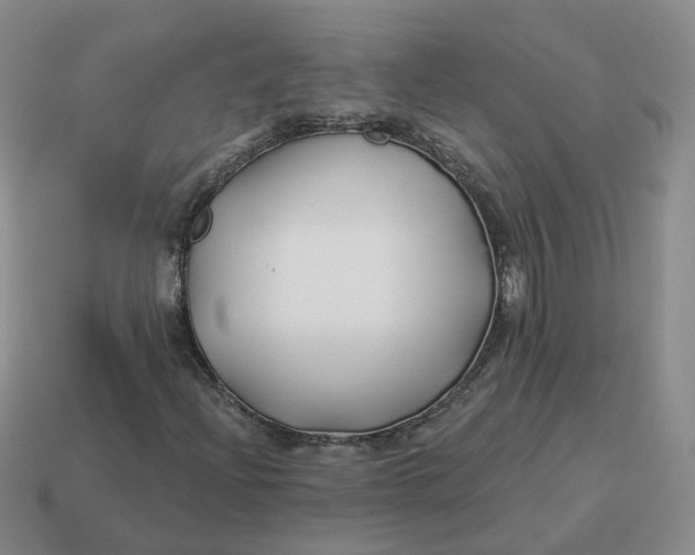 X0000114511204200911091123