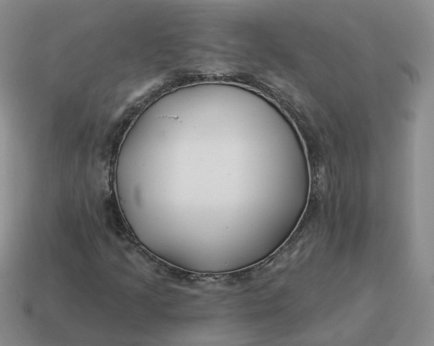 X0000114511205200911091123