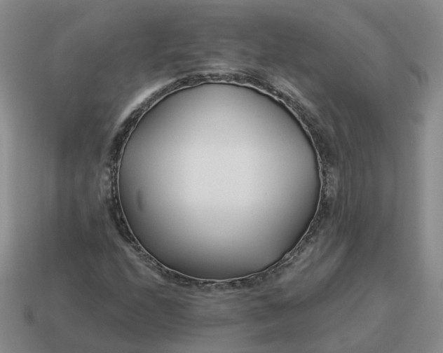 X0000114511208200911091123