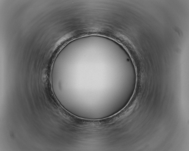 X0000114511210200911091123