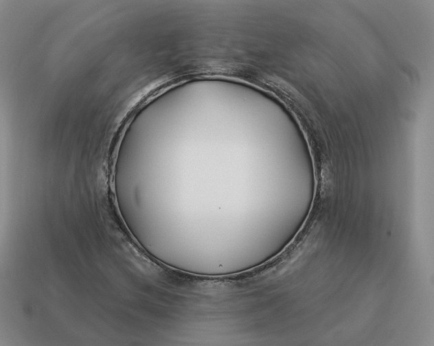 X0000114511212200911091123