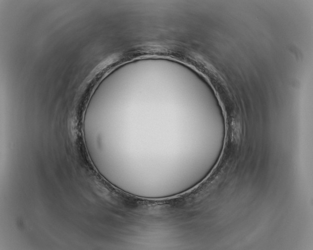 X0000114511213200911091123