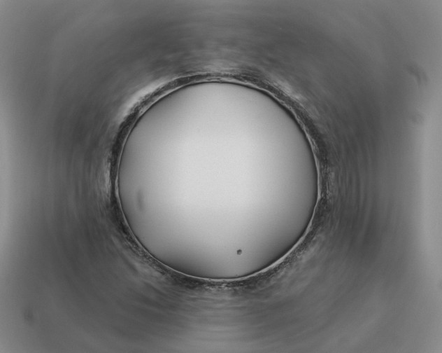 X0000114511214200911091123