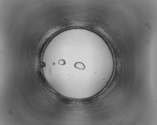 X0000114511215200911091123