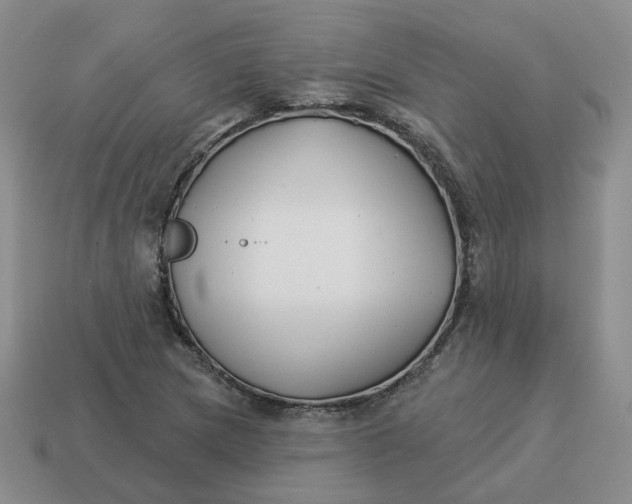 X0000114511217200911091123