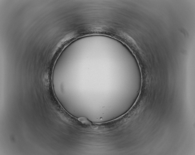 X0000114511218200911091123