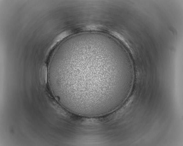 X0000114511219200911091123