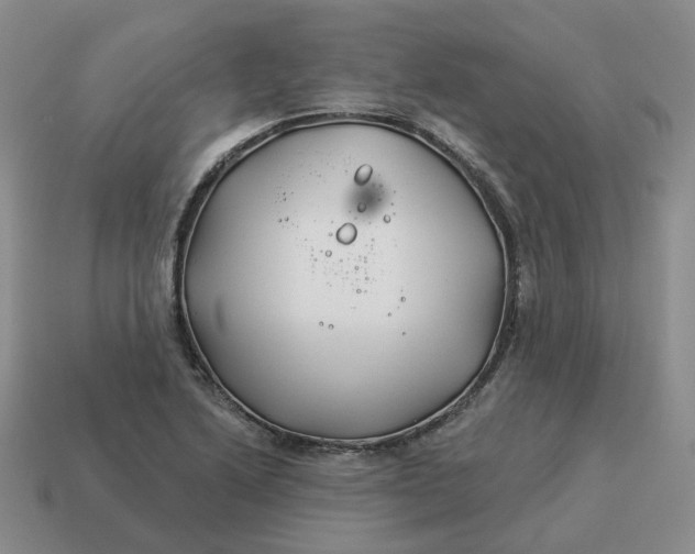 X0000114511222200911091123