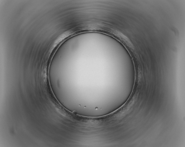 X0000114511226200911091123