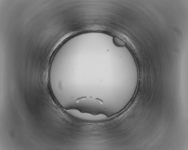 X0000114511228200911091123