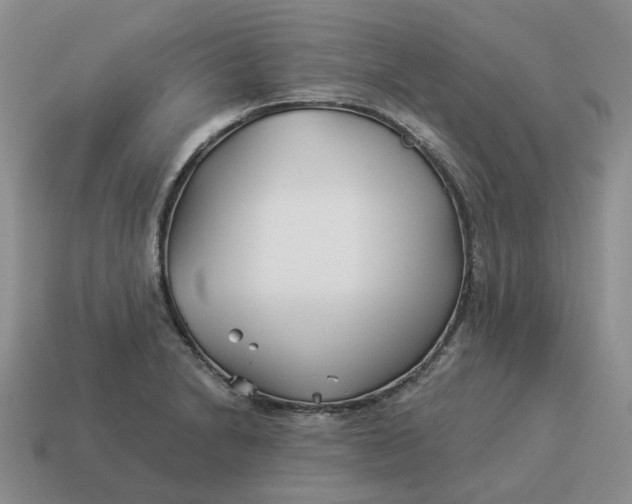 X0000114511230200911091123