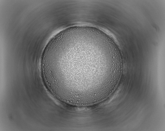 X0000114511231200911091123