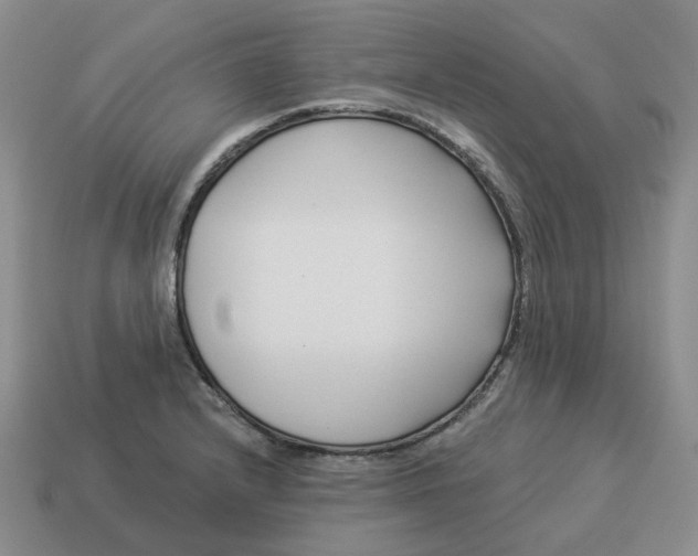 X0000114511232200911091123