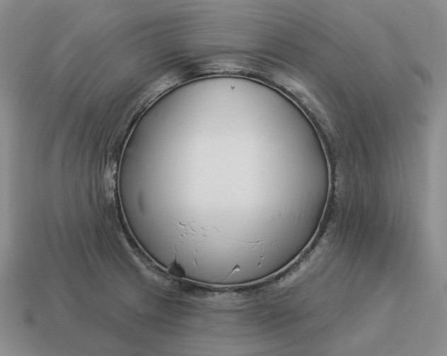 X0000114511233200911091123