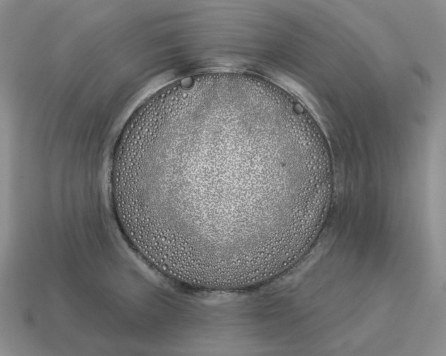 X0000114511235200911091123