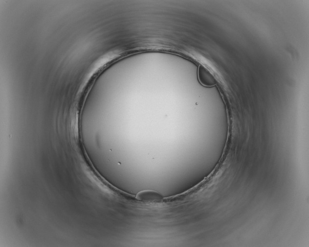 X0000114511238200911091123