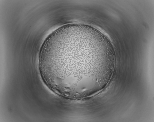 X0000114511239200911091123