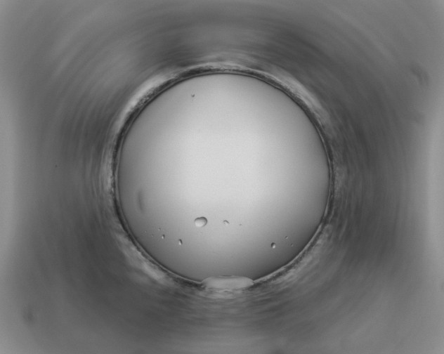 X0000114511240200911091123