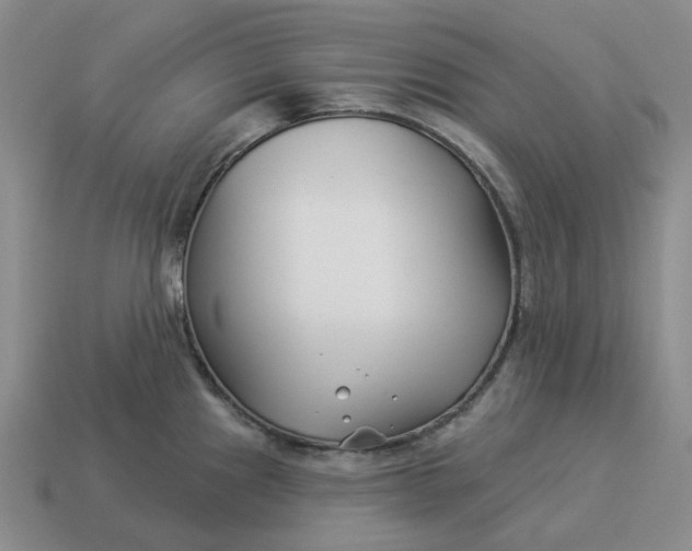 X0000114511241200911091123