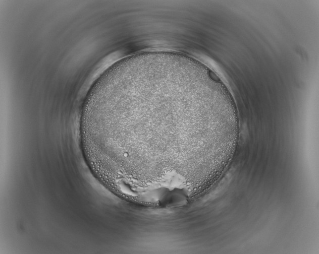 X0000114511243200911091123