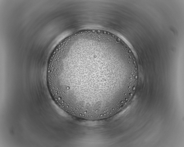 X0000114511245200911091123