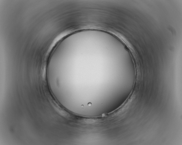 X0000114511246200911091123