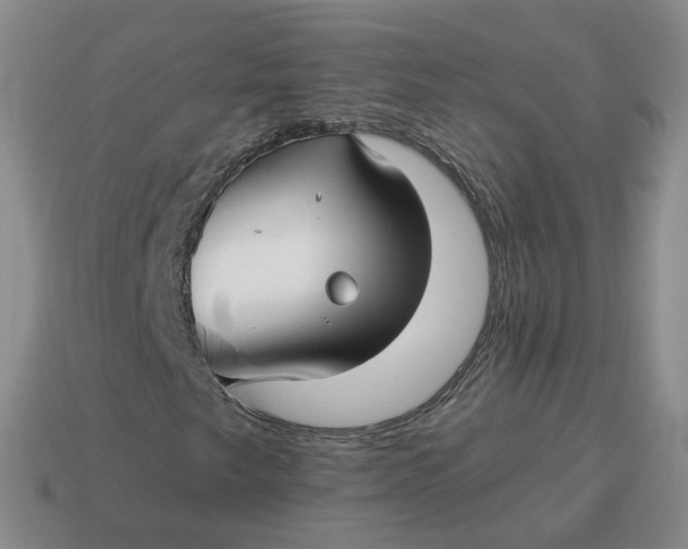 X0000114511249200911091122