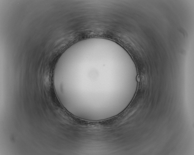 X0000114511250200911091122