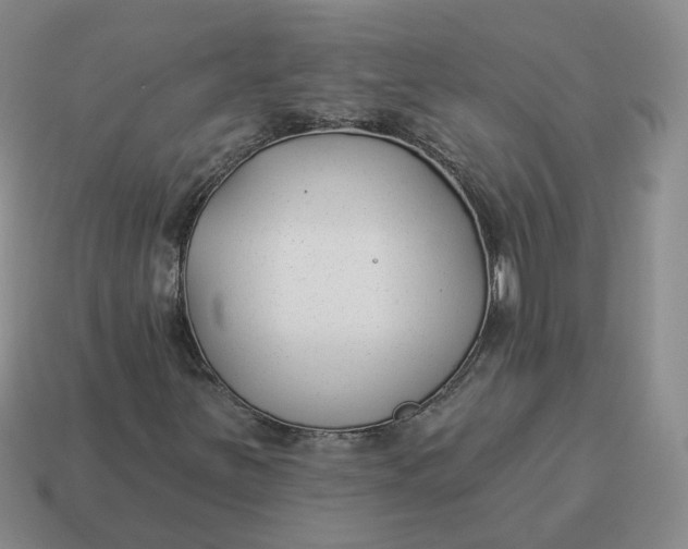 X0000114511251200911091122