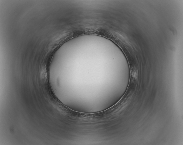 X0000114511252200911091122