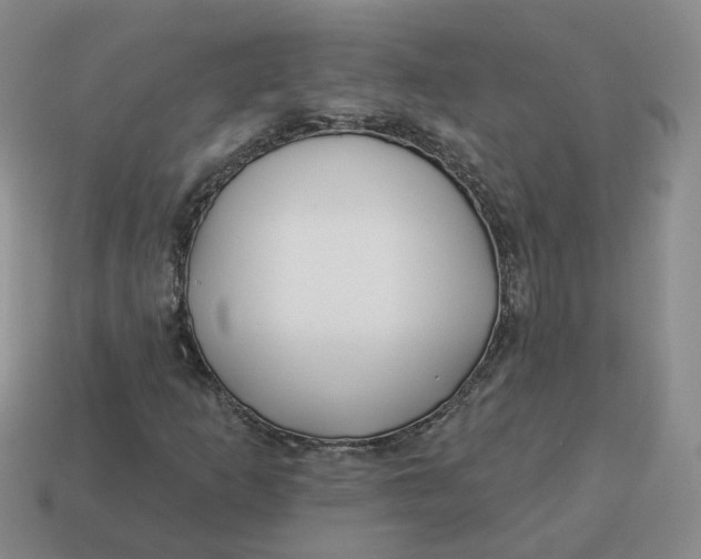 X0000114511253200911091122