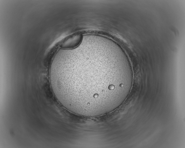 X0000114511255200911091122