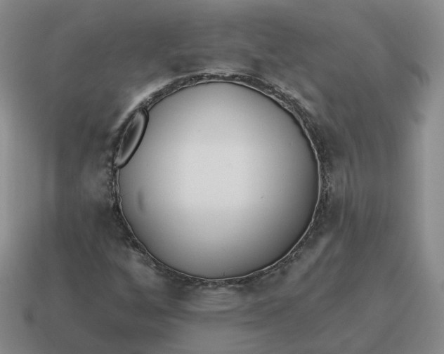 X0000114511256200911091122