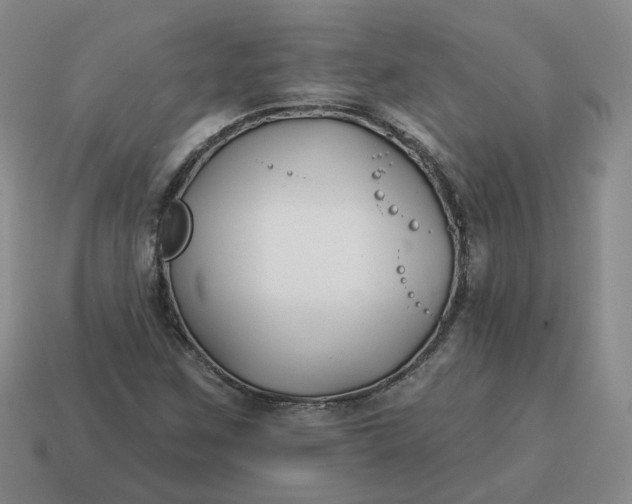 X0000114511259200911091122