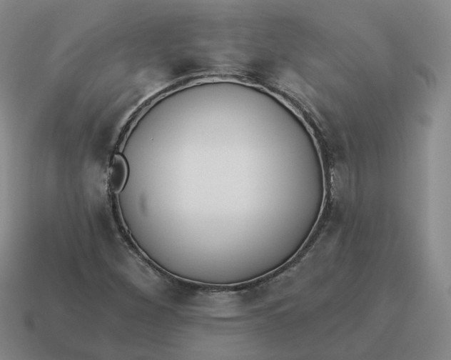 X0000114511260200911091122