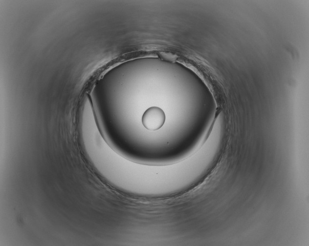 X0000114511261200911091122