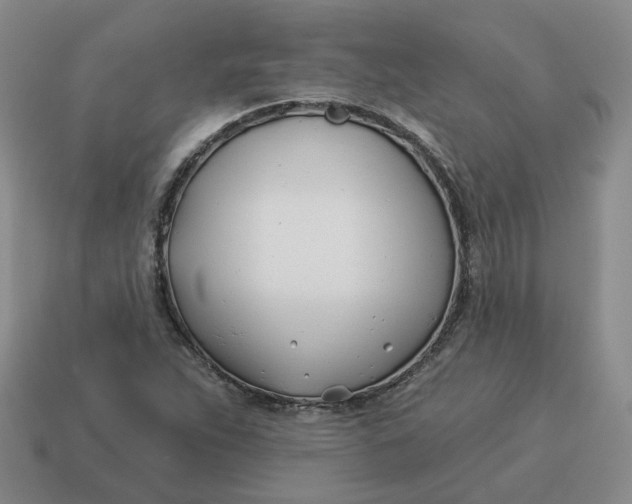 X0000114511263200911091122