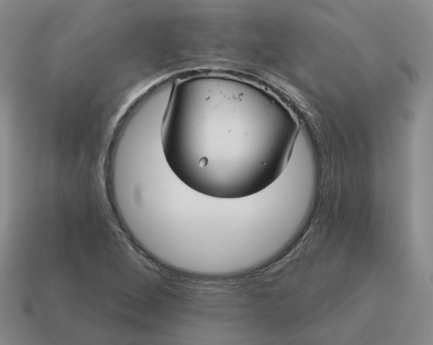 X0000114511264200911091122