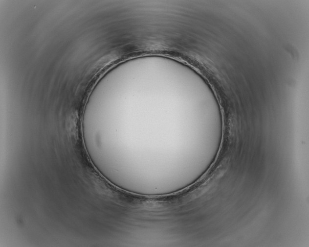 X0000114511265200911091122