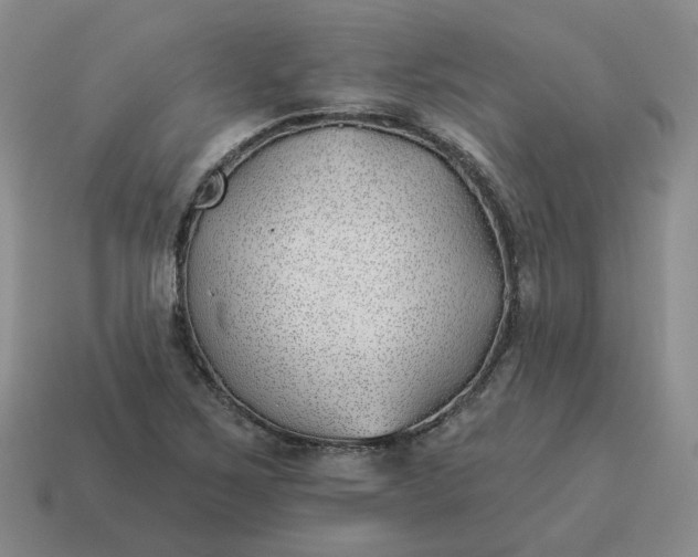 X0000114511267200911091122